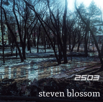   «Steven Blossom» — acousitc