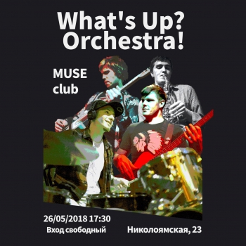   «Whats Up Orchestra»