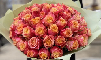 ��������� ���� ���