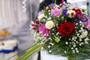 ����� ��&nbsp;���� ��������: �������� ������ �����