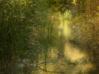 Фотопрогулка «Фотоимпрессионизм»