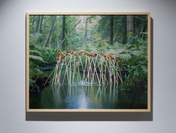 �������� Ը���� ������ &laquo;����������&raquo;