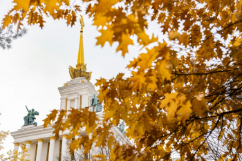  «  ,     .       »