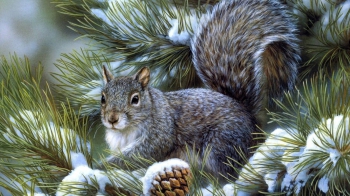 ��������� �&nbsp;����� &laquo;���������� ���&raquo;