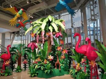 �������� �������� ��������� &laquo;������������ ���&raquo;