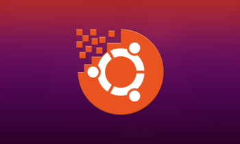  «  Ubuntu»