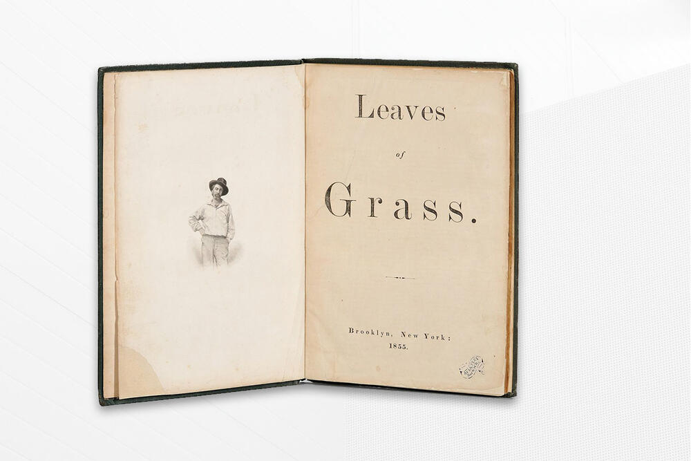 Медленное чтение на английском «Leaves of Grass» Уолта Уитмена — Вход ...