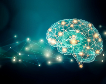  « .          .    »