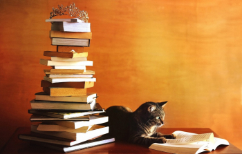 Литпрактикум «Кошки и книжки: грани взаимодействия»