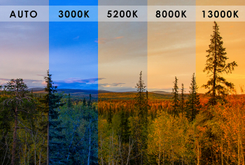 �������� ���� &laquo;��� ����������: ������ ������&raquo;