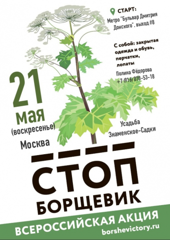 ���������-��������� �&nbsp;������� ����������-�����