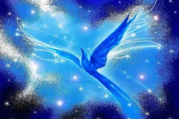 ���������� ��������� &laquo;��&nbsp;����� ������! ������� ����������� ��������������� ������&raquo;