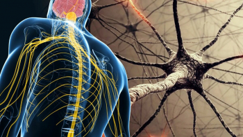 Лекция «Что отличает человека от гидры: нервная система во всей филогенетической красе»
