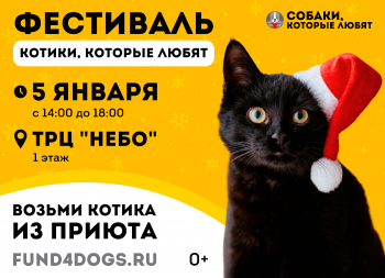 Пушистое счастье ждёт вас на фестивале «Котики, которые любят»