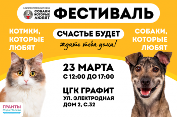 Фестиваль-пристройство «Собаки, которые любят... и котики!»