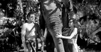 ����� ������ &laquo;������&nbsp;&mdash; �������-��������&raquo;