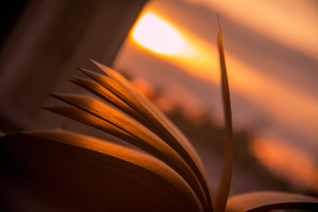 ������ &laquo;������ ��������� ��������. ����� �����&raquo;