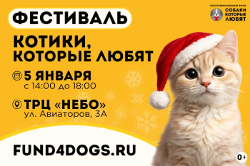 ���������� ��������� ������������ ����� &laquo;������, ������� �����&raquo;