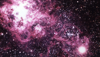 ������ &laquo;������ �&nbsp;����� ����������� �������&raquo;