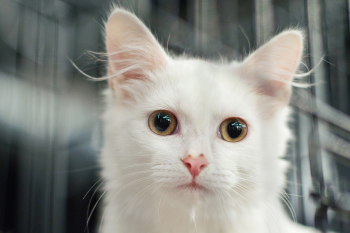 ��������� ��&nbsp;������������ �������� ��&nbsp;������� &laquo;������, ������� �����... �&nbsp;������!&raquo;