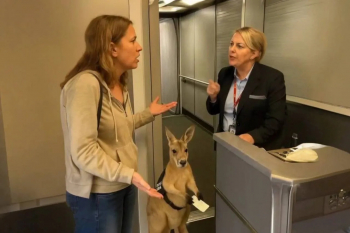 ������ &laquo;��� ��&nbsp;������: ��� ��������� ���� ������� ����&raquo;