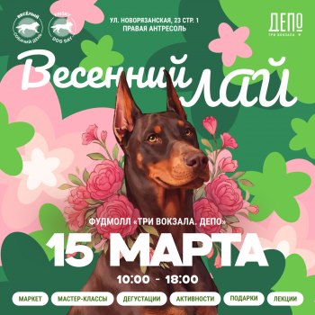 �������� ��� ������������ ������