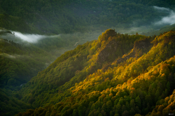 �������� ���� &laquo;��� ������� ���������� ��������� ������: 7&nbsp;�������&raquo;