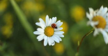 ������ &laquo;7&nbsp;����� ���� ������� �������&raquo;