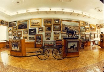 Постоянная экспозиция в Музее коневодства