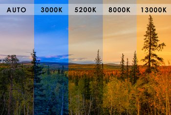 �������� ���� &laquo;��� ����������: ������ ������&raquo;