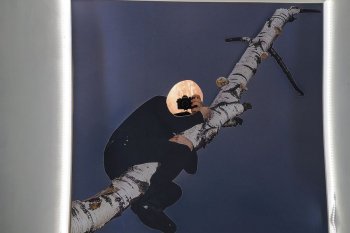 Выставка «Открыть, закрыть, повторить»