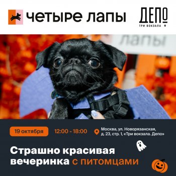 Костюмированная пет-вечеринка