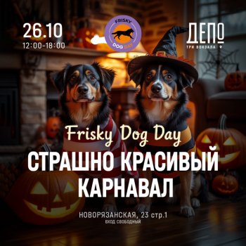 Frisky Dog Day