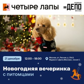 ��������� &laquo;���������� ��������� �&nbsp;���������&raquo;