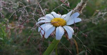 ����� �������� ��������� &laquo;�����&nbsp;&mdash; ����� ��������?&raquo;