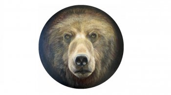 �������� &laquo;�����&nbsp;&mdash; �����, �������&nbsp;&mdash; ������&raquo;