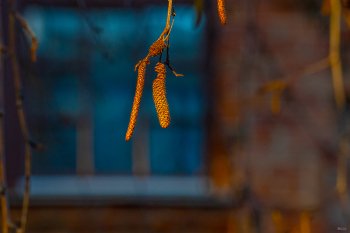 ������������ &laquo;������� �����&raquo;