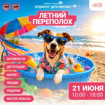 &laquo;������ ���������&raquo;&nbsp;&mdash; ������� �������� ��� ����� �&nbsp;��&nbsp;�����
